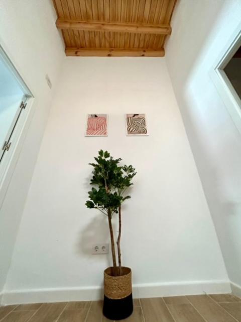 Gatu Casa Solera, Un Lugar Unico, "Preferente Para Mayores De 25 Anos Y Familias " 엘푸에르토데산타마리아 외부 사진