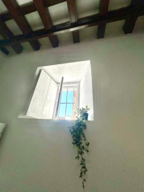 Gatu Casa Solera, Un Lugar Unico, "Preferente Para Mayores De 25 Anos Y Familias " 엘푸에르토데산타마리아 외부 사진